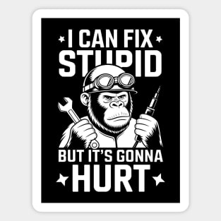 I Can Fix Stupid But It's Gonna Hurt Magnet